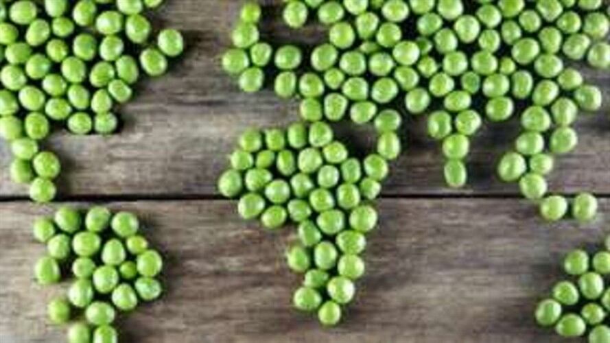 La producción de alimentos es responsable del 30% de las emisiones de carbono del mundo. Foto: BBC Mundo