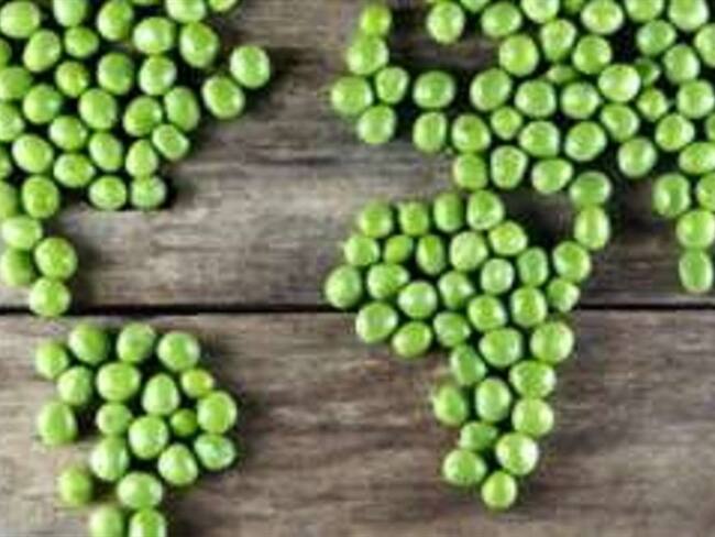 La producción de alimentos es responsable del 30% de las emisiones de carbono del mundo. Foto: BBC Mundo