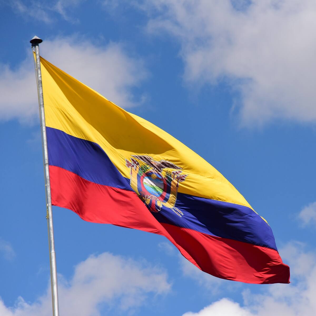 La periodista Luz Helena Fonseca llegará a Consulado en Ecuador