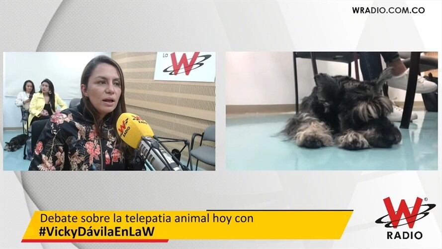 Lina Lamos, experta. Foto: La WCon Vicky Dávila