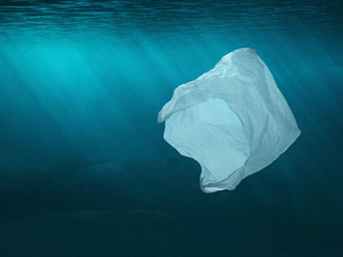 Bolsas que se disuelven en el agua quieren entrar al mercado colombiano