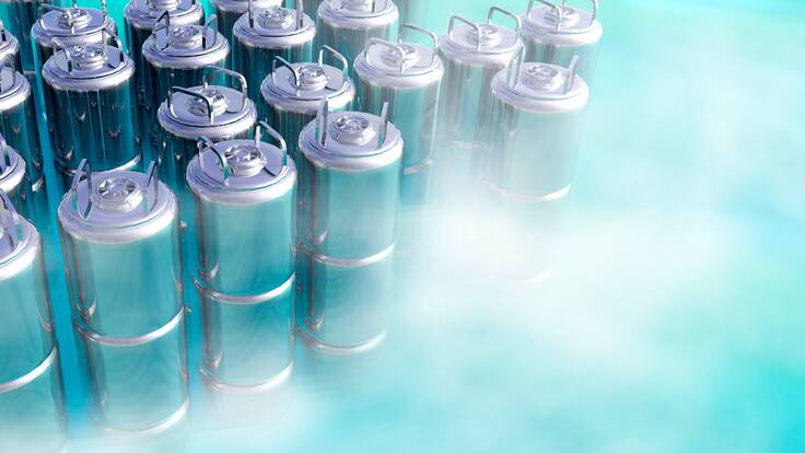 ¿Es posible criopreservar a una persona y descongelarla en el futuro?