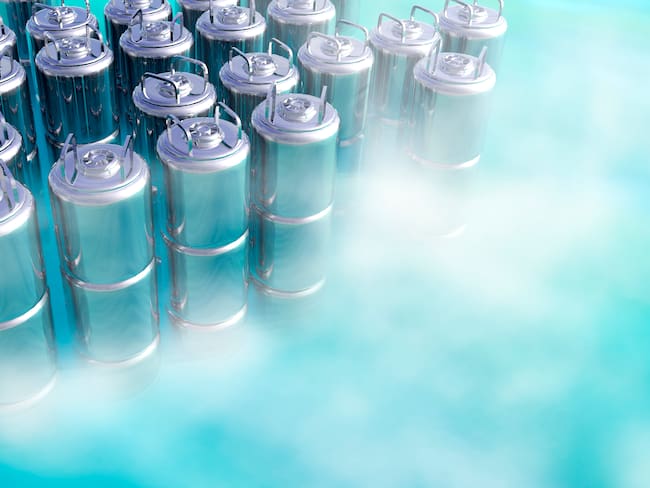 ¿Es posible criopreservar a una persona y descongelarla en el futuro?