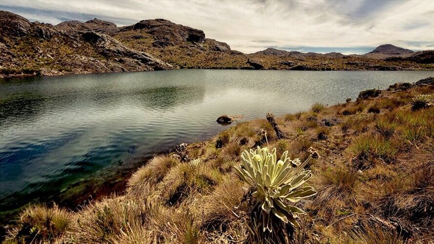 En mes y medio no estaría lista la nueva delimitación del páramo de Santurbán, como lo indica el plazo de la Corte. Foto: Mauricio Olaya (cortesía)