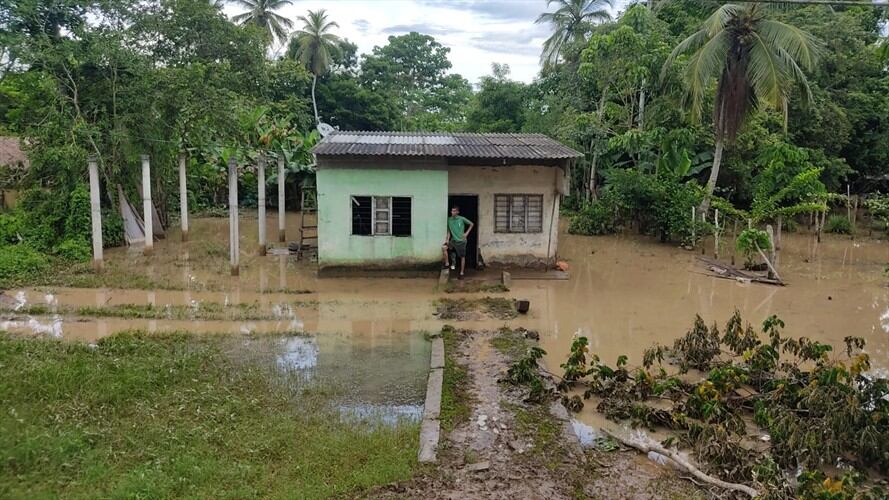 Millonarias pérdidas en cultivos dejan inundaciones en Lorica, Córdoba. Foto: Alcaldía Lorica.