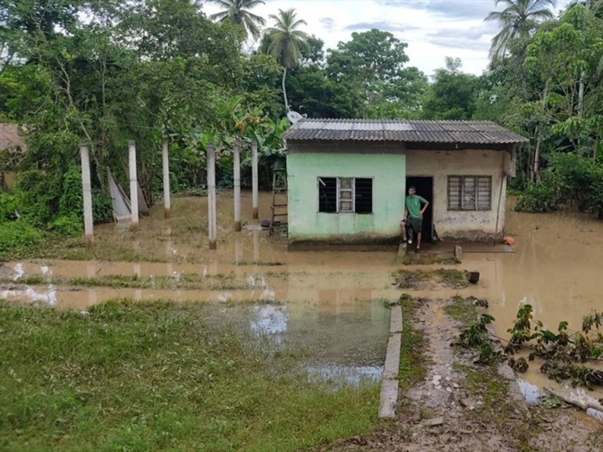 Millonarias pérdidas en cultivos dejan inundaciones en Lorica, Córdoba