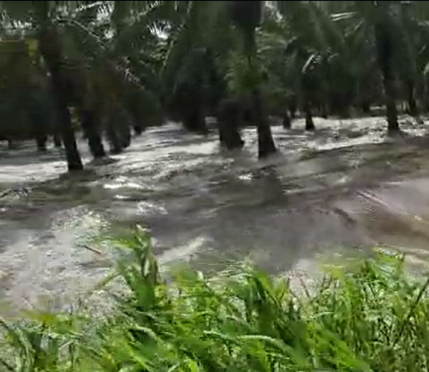Inundaciones/Cortesía