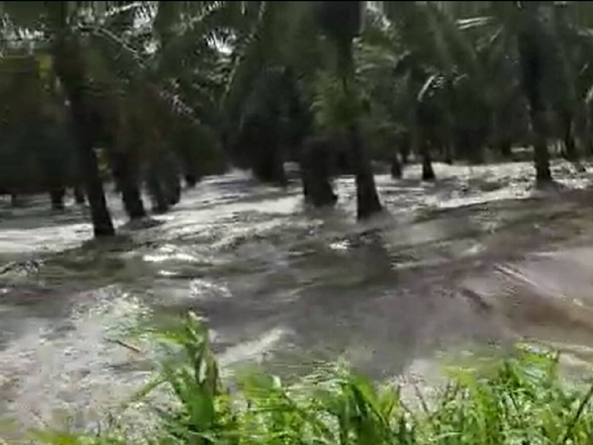 Alerta roja en Puerto Wilches por inundaciones tras desbordamiento del río Magdalena