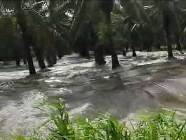 Inundaciones/Cortesía