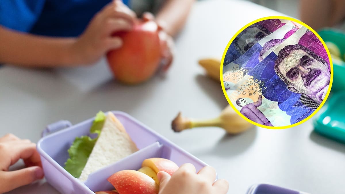 ¿Cómo solicitar un aumento en la cuota de alimentos fijada para 2025? Estas son las razones válidas