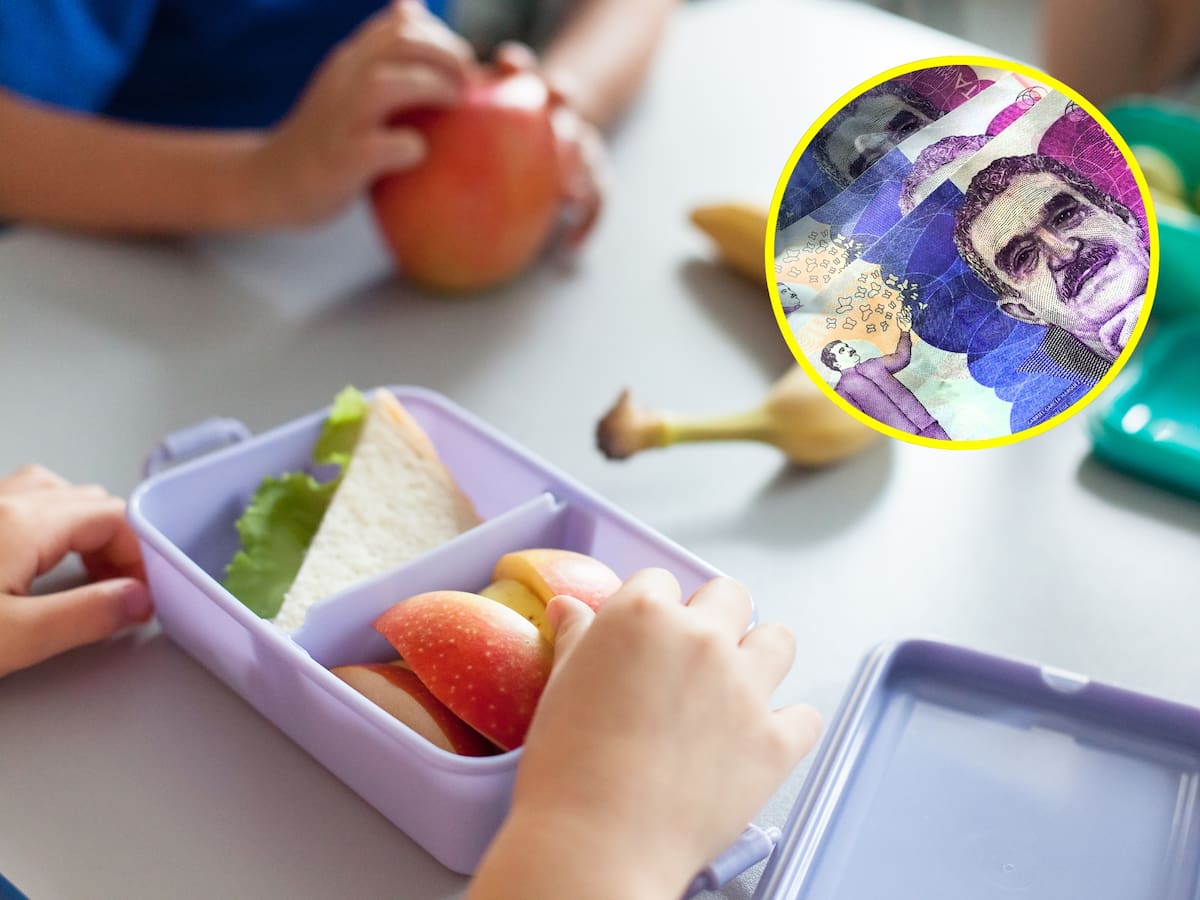 Cuota de alimentación 2025: ¿qué pasa si el papá o mamá obligados a pagar están en el exterior?