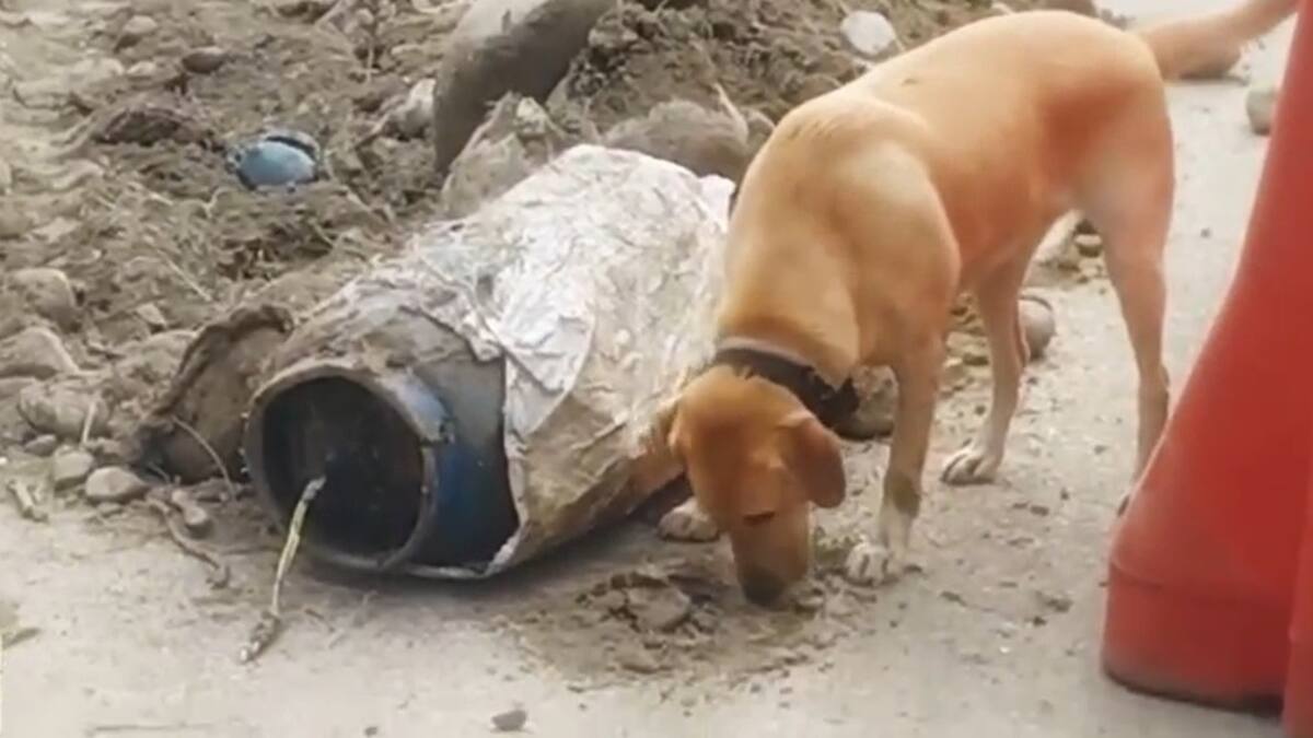 Desactivan artefacto explosivo de alto poder en el norte del Cauca