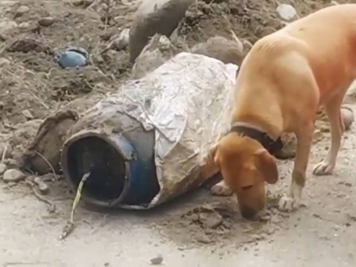 Desactivan artefacto explosivo de alto poder en el norte del Cauca