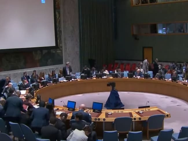 Consejo de Seguridad de la ONU. Cortesía: United Nations.
