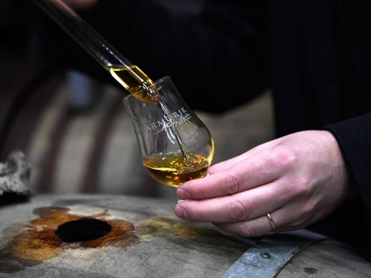 ¿Qué se necesita para ser un catador de whisky?