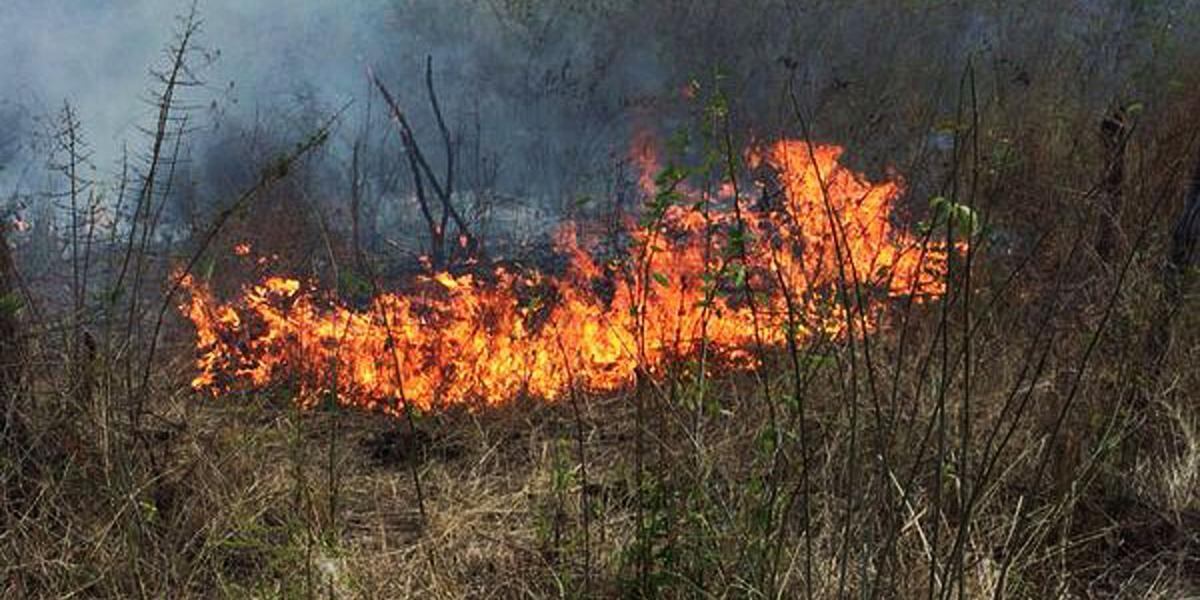 Quemas controladas están generando incendios forestales en Piedecuesta, Santander