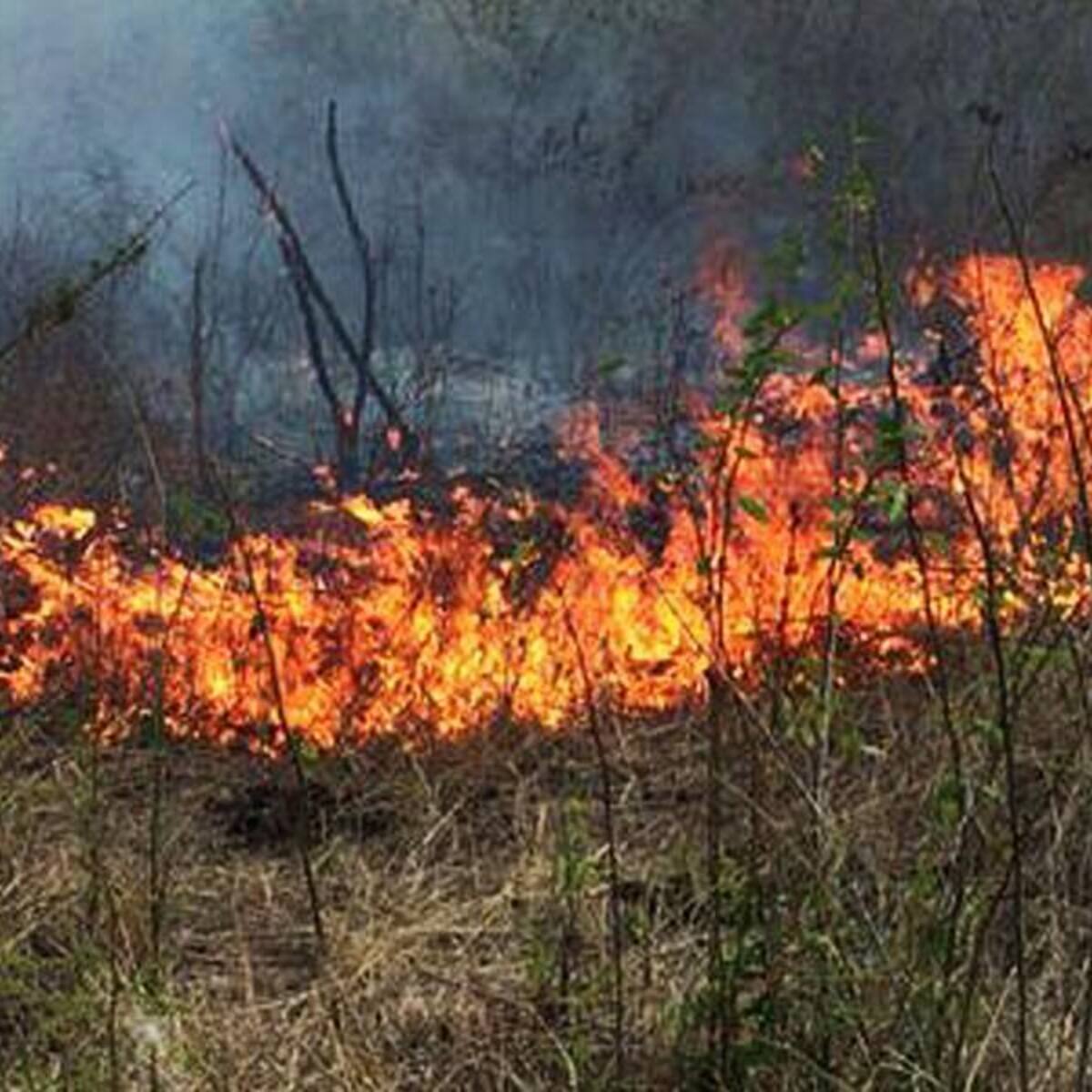 ‘Quemas controladas’ están generando incendios forestales en Piedecuesta, Santander