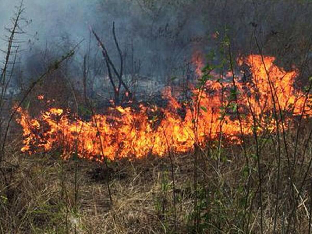 ‘Quemas controladas’ están generando incendios forestales en Piedecuesta, Santander