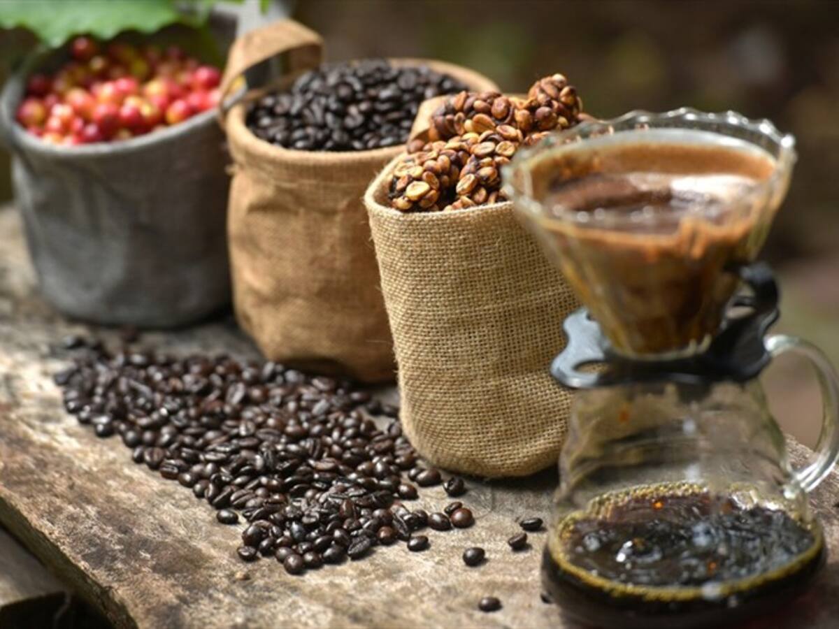 Excombatientes Farc participan con sus emprendimientos en Feria Mundial de Café