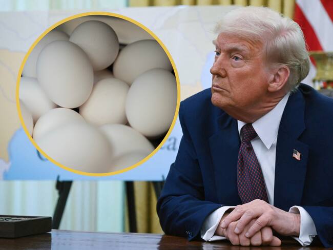 Donald Trump. FOTO: ANDREW CABALLERO-REYNOLDS/AFP via Getty Images