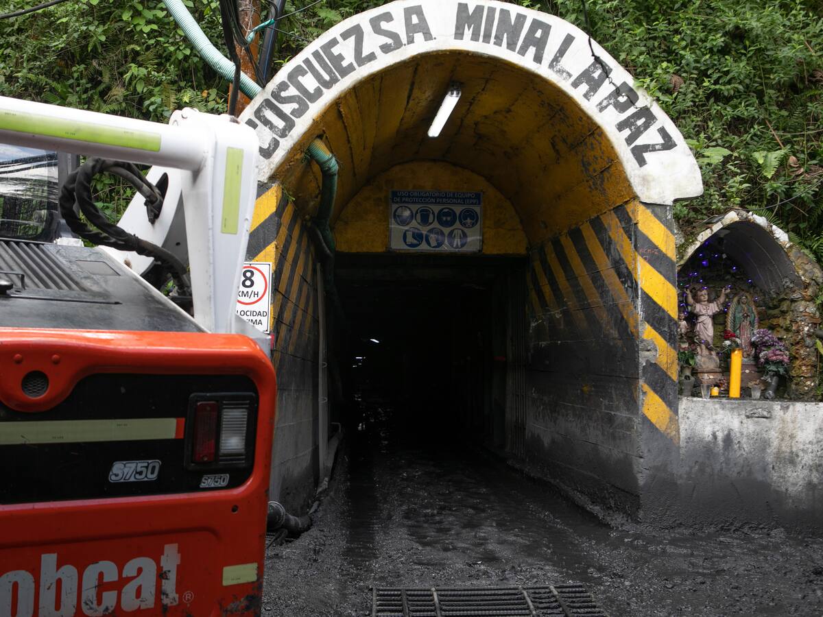 Fura Gems le respondió a Fedeminas por declaraciones de presuntos hostigamientos