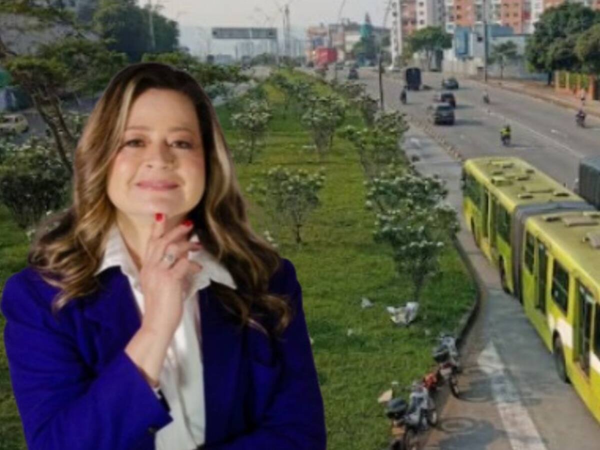 Los anuncios del MinTransporte para intentar salvar Metrolínea