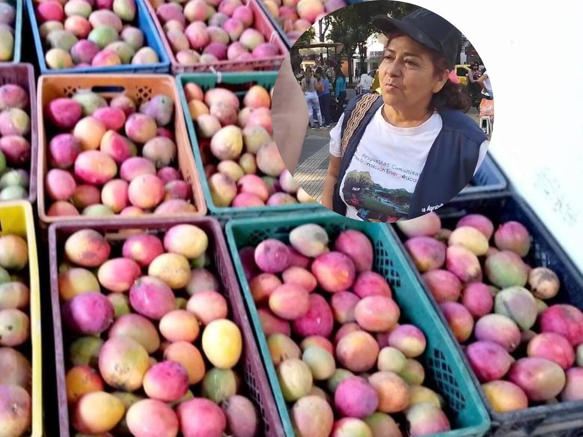 Campesinos fueron víctimas de hurto cuando realizaban ‘mangotón’ en Bucaramanga