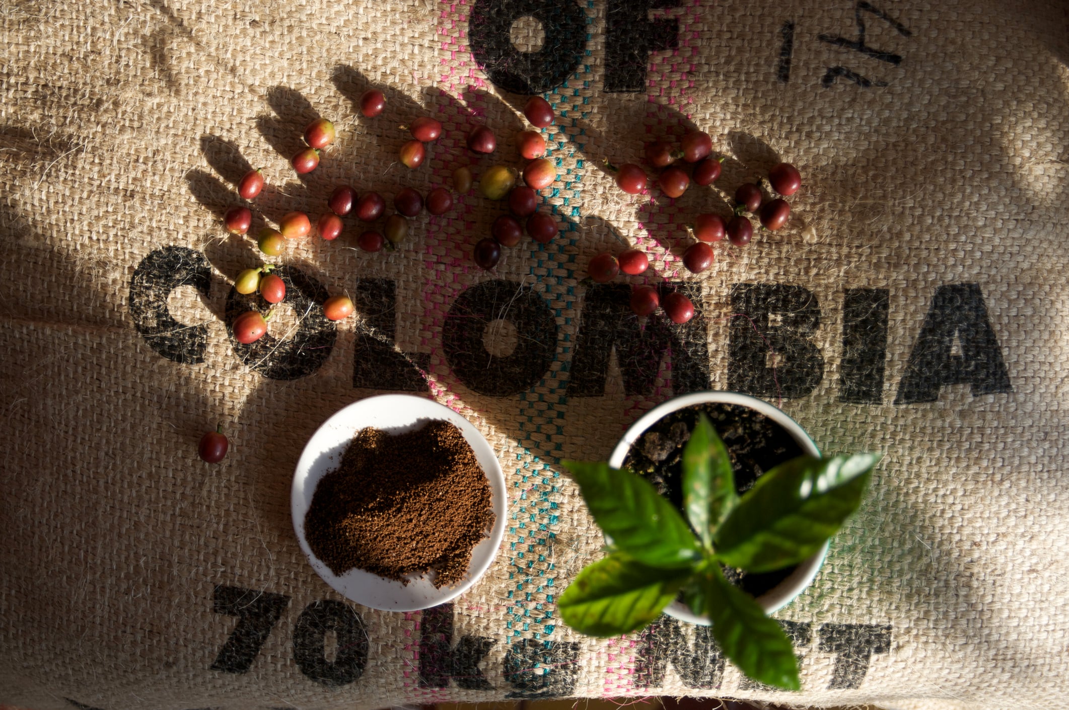 Café de Colombia, imagen de referencia. Foto: Getty Images.