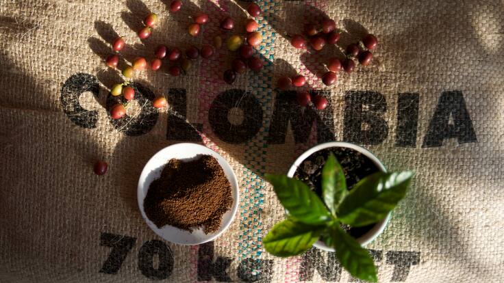 Café colombiano hace presencia en el exterior, esta vez desde Dubái