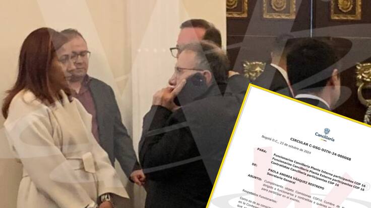 Regaño de Cancillería a embajadores por campaña de Roy Barreras en el Senado