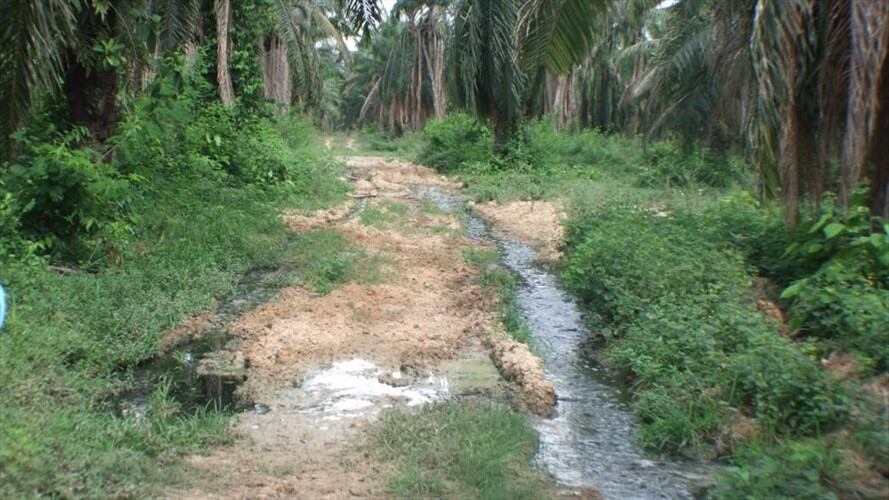 Denuncian contaminación al río Fundación por vertimientos de aguas sin tratar. Foto: Ian Farouk Simmonds