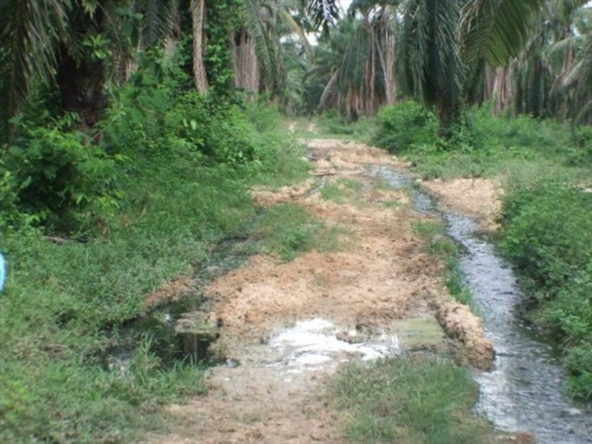 Denuncian contaminación al río Fundación por vertimientos de aguas sin tratar