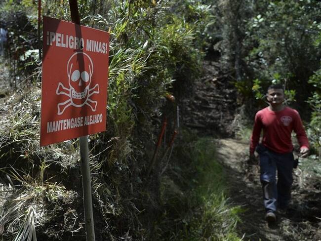 Un niño de ocho años de edad, identificado como Javison David Mora, falleció tras manipular un artefacto explosivo. Foto: Getty Images