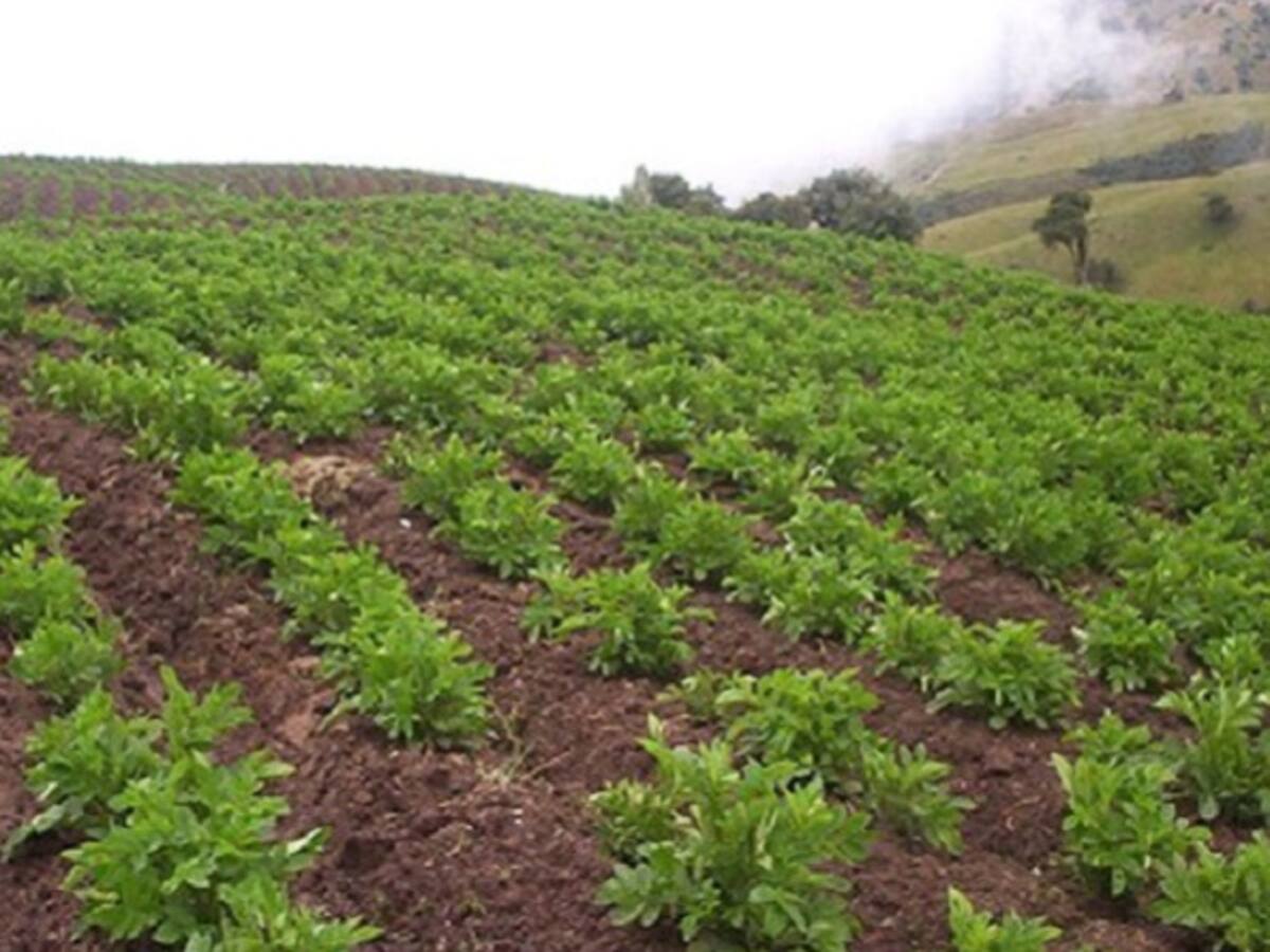 ¿Qué respondió Igac a alcaldes de ocho municipios de Boyacá sobre catastro multipropósito?