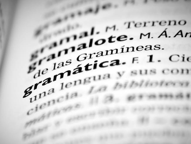 En el Observatorio de Palabras de la Real Academia Española hay una definición provisional para "elle". Foto: Getty Images