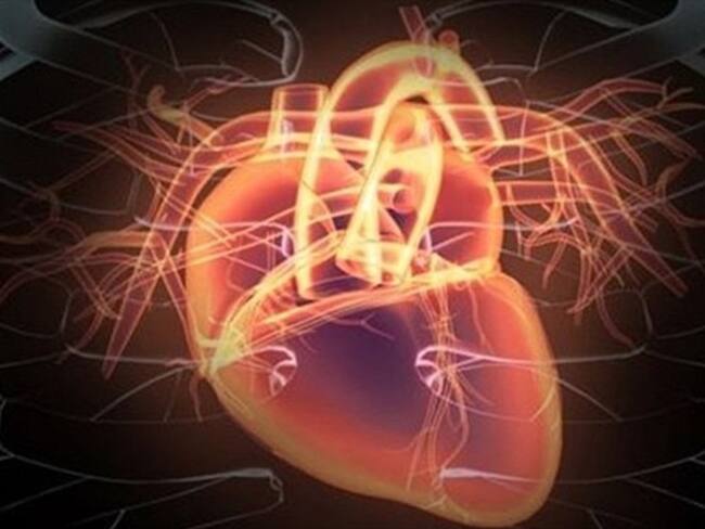 Imagen de referencia. Foto: Getty Images