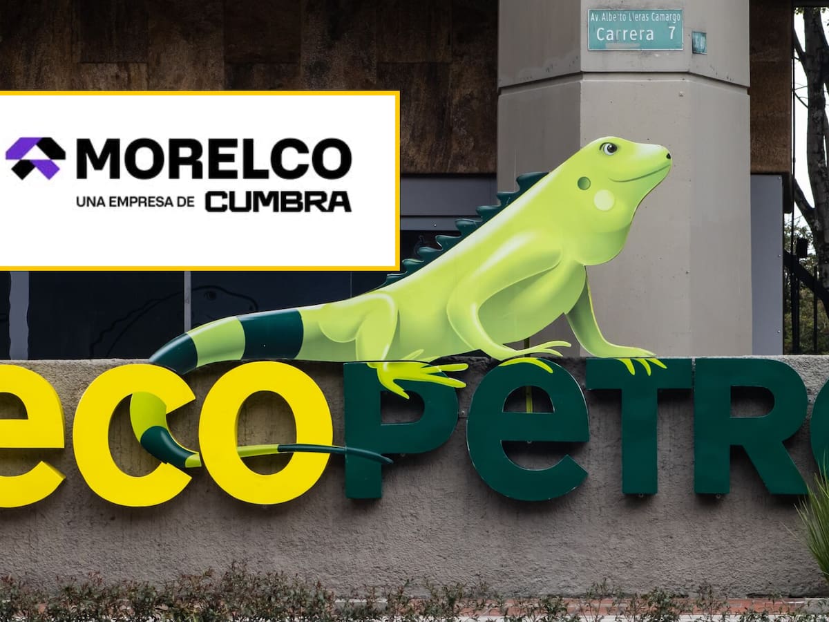 Admiten en liquidación a Morelco, importante proveedor de Ecopetrol, por millonarias deudas