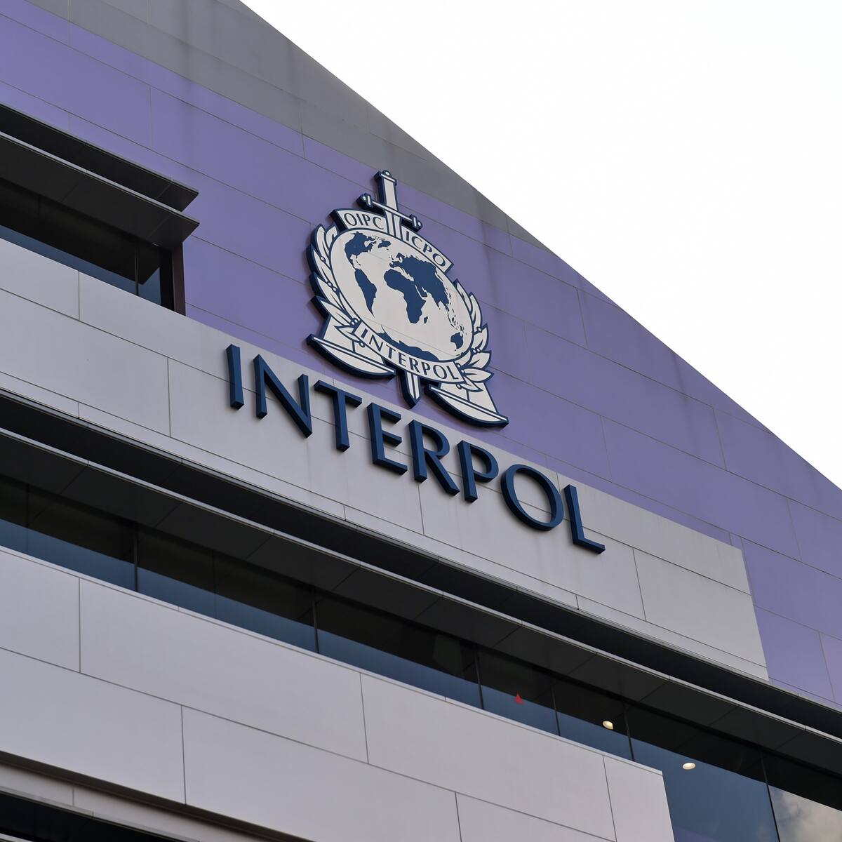 “Me torturaron y acusaron de ser espía”: Mathew Hedges denuncia al nuevo director de Interpol