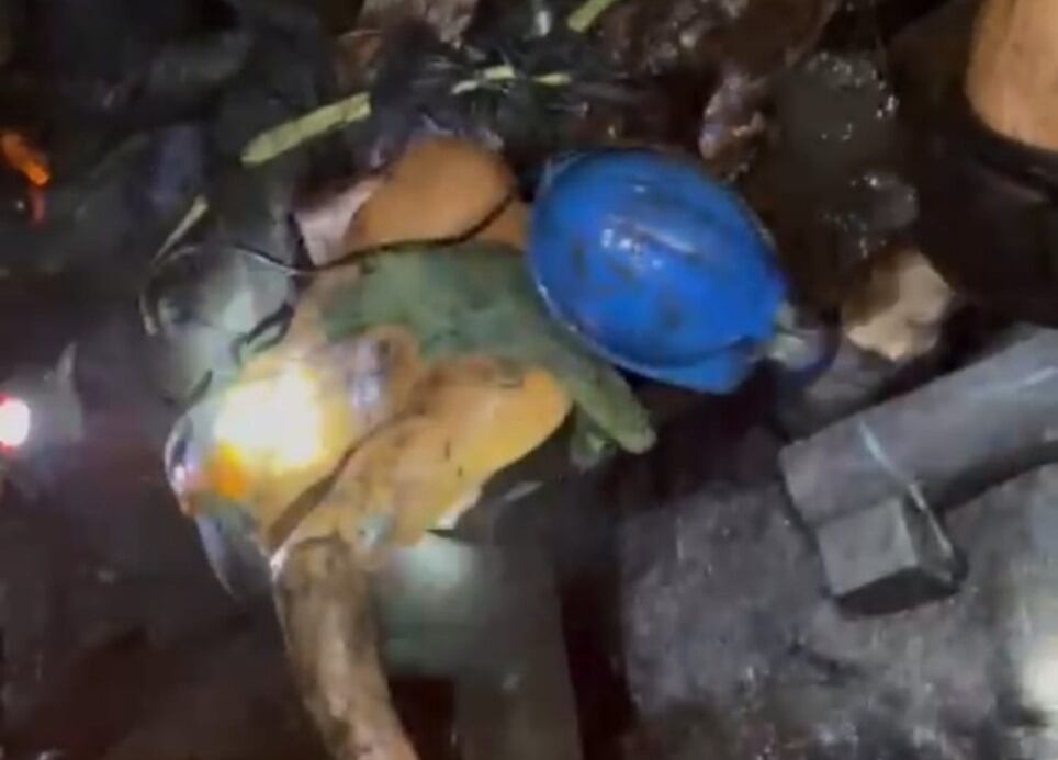 Cortesía: Irradiarte Sardinata