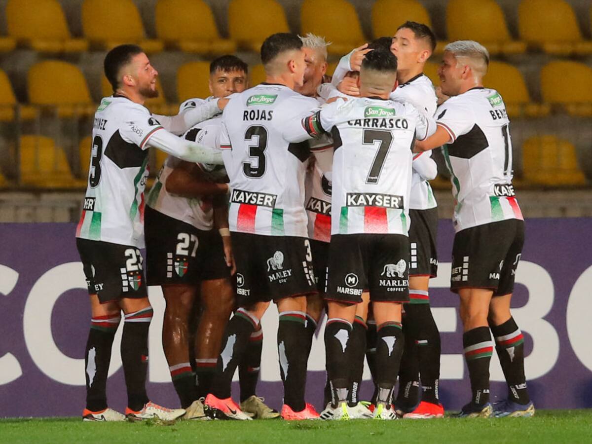 Esta es la historia de Palestino, el equipo revelación de la Libertadores