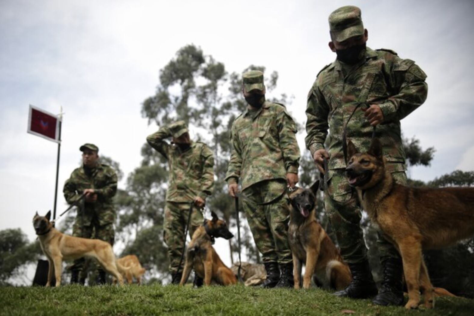 Entrenamiento perros antiexplosivos / Colprensa