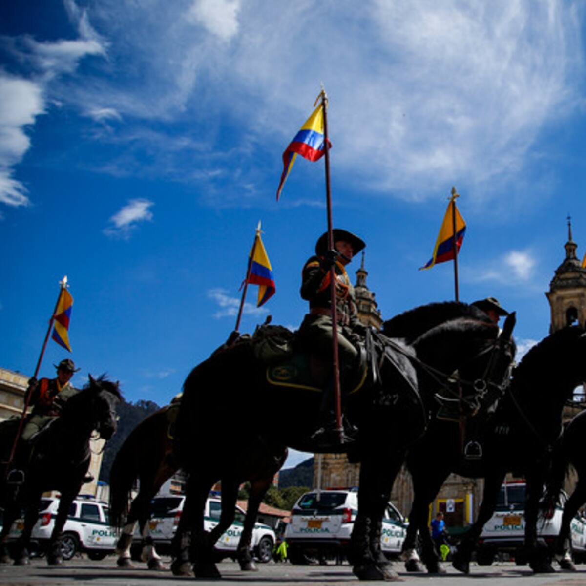 Fuerza pública no podrá usar animales en manifestaciones: Petro sancionó ley