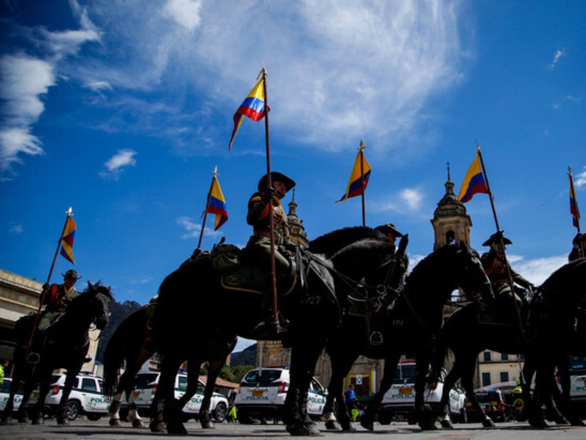 Policía no podrá usar animales en manifestaciones: Juan Carlos Losada y su proyecto de ley