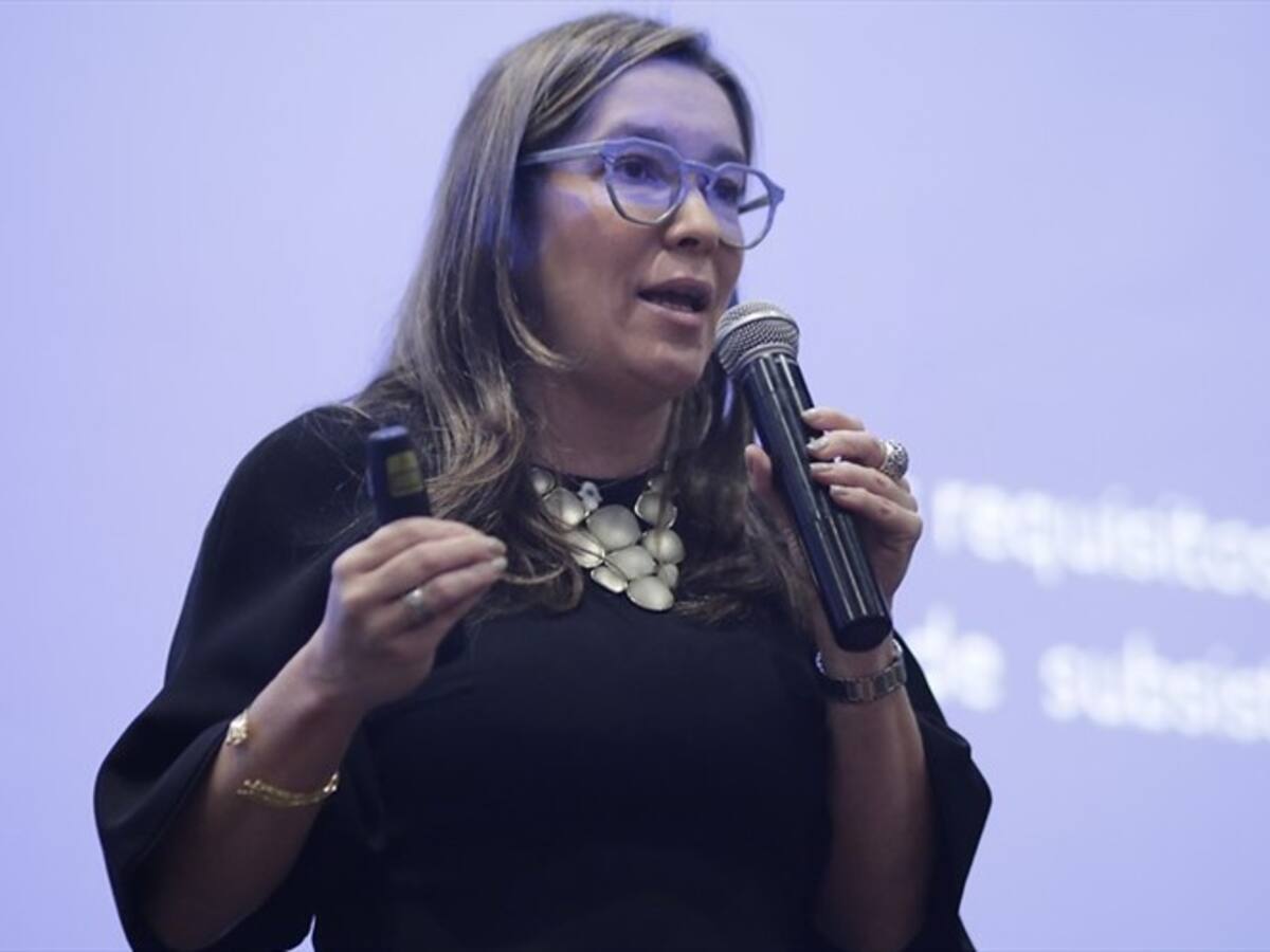 Se oficializó importante donación de paneles solares desde China a Colombia