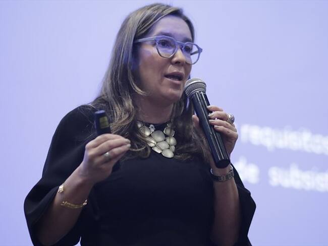 La Ministra de Minas y Energía, María Fernanda Suárez. Foto: Colprensa