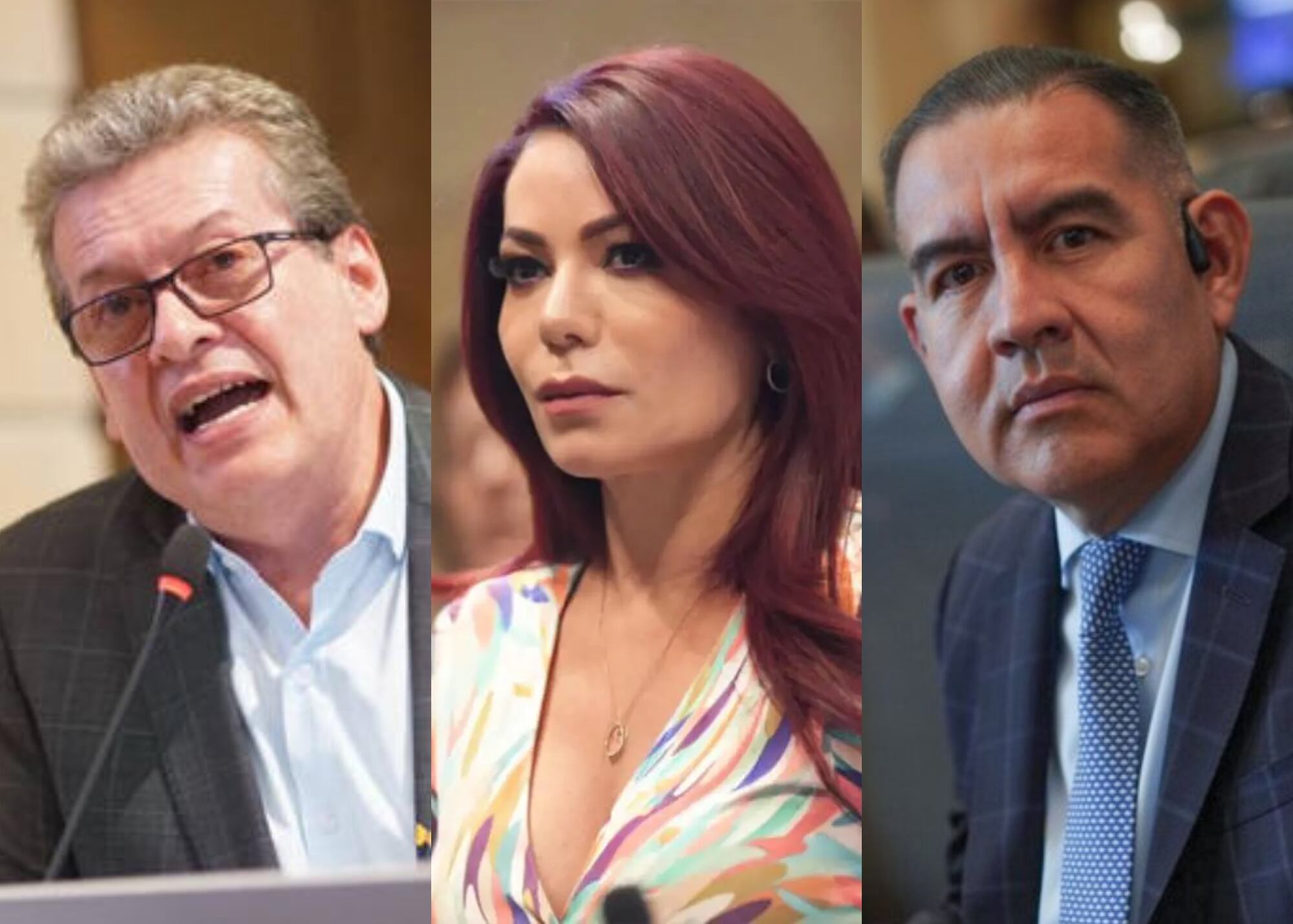 Alirio Uribe, Gloria Arizabaleta y Wilmer Carrillo | Fotos: Redes Sociales