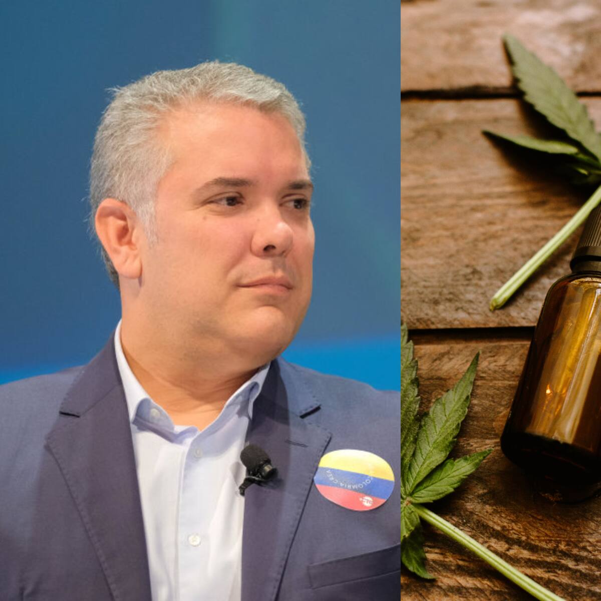 Han aplaudido las normas que hemos emitido: Duque sobre industria del cannabis