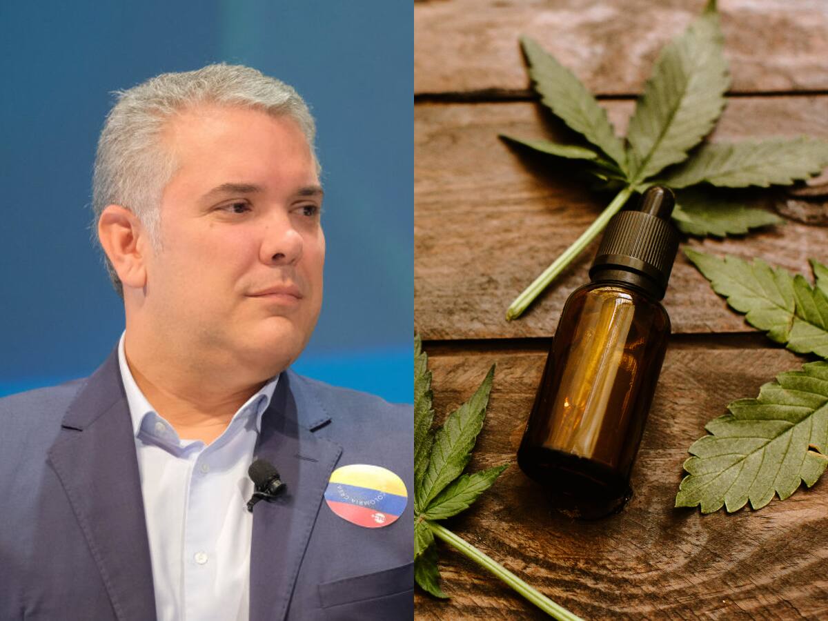 Han aplaudido las normas que hemos emitido: Duque sobre industria del cannabis