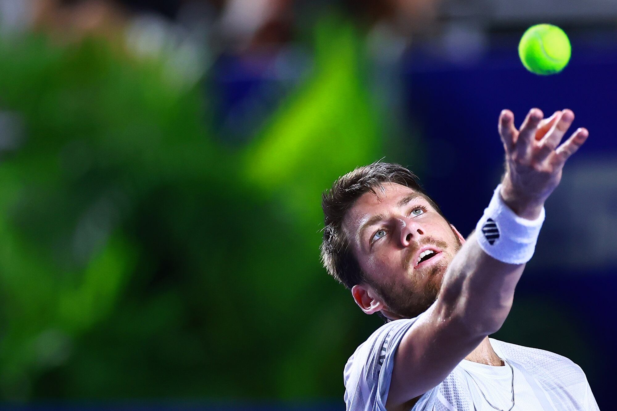 Cameron Norrie en el Abierto de Acapulco