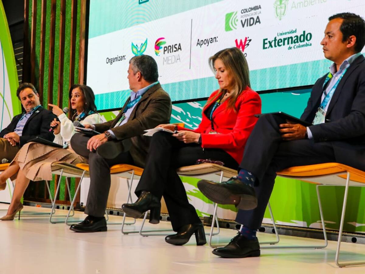 ¿Cómo hacer una transición energética responsable y sostenible en Colombia?